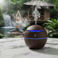 Umidificador de Ar Portátil